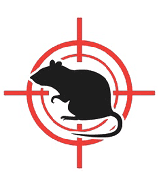 Piege-a-rats-avec-appats-pour-combattre-la-prolifération-de-rats